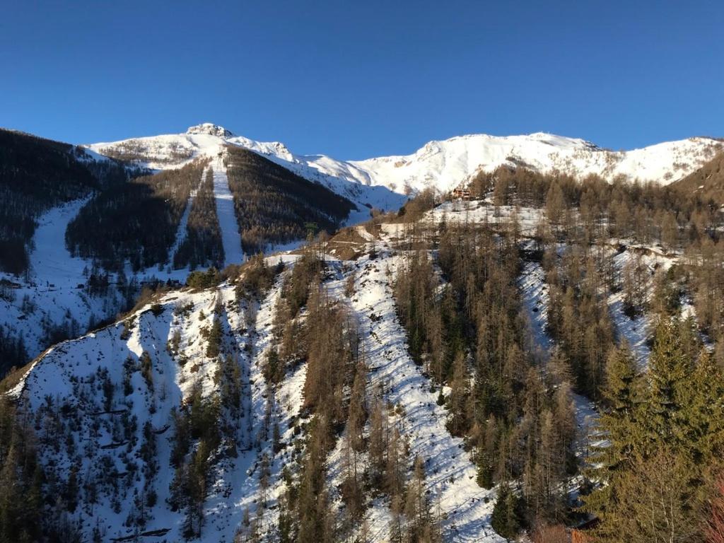 Apartment Magnifique 2 Pieces Proche Place D'auron *